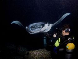 Night Flight was taken on the well known Kona Manta Night... by Allan Vandeford 